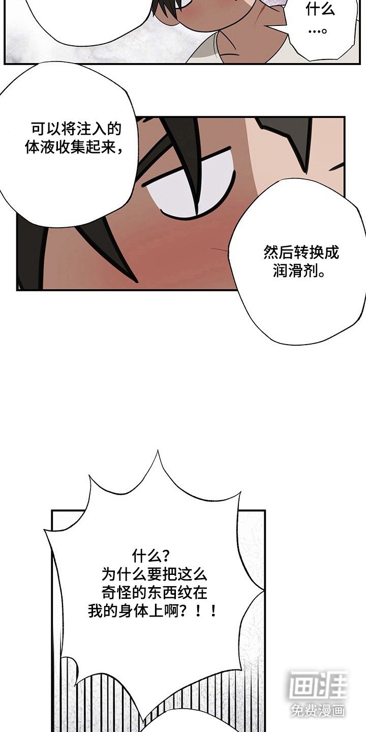 第23章：结束告白