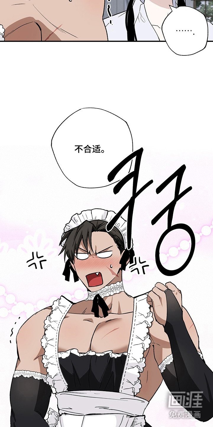 第28章：实验精神
