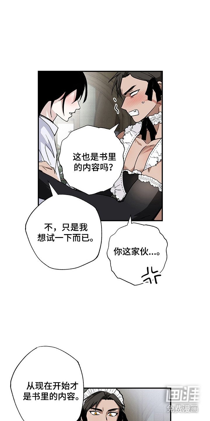 第28章：实验精神