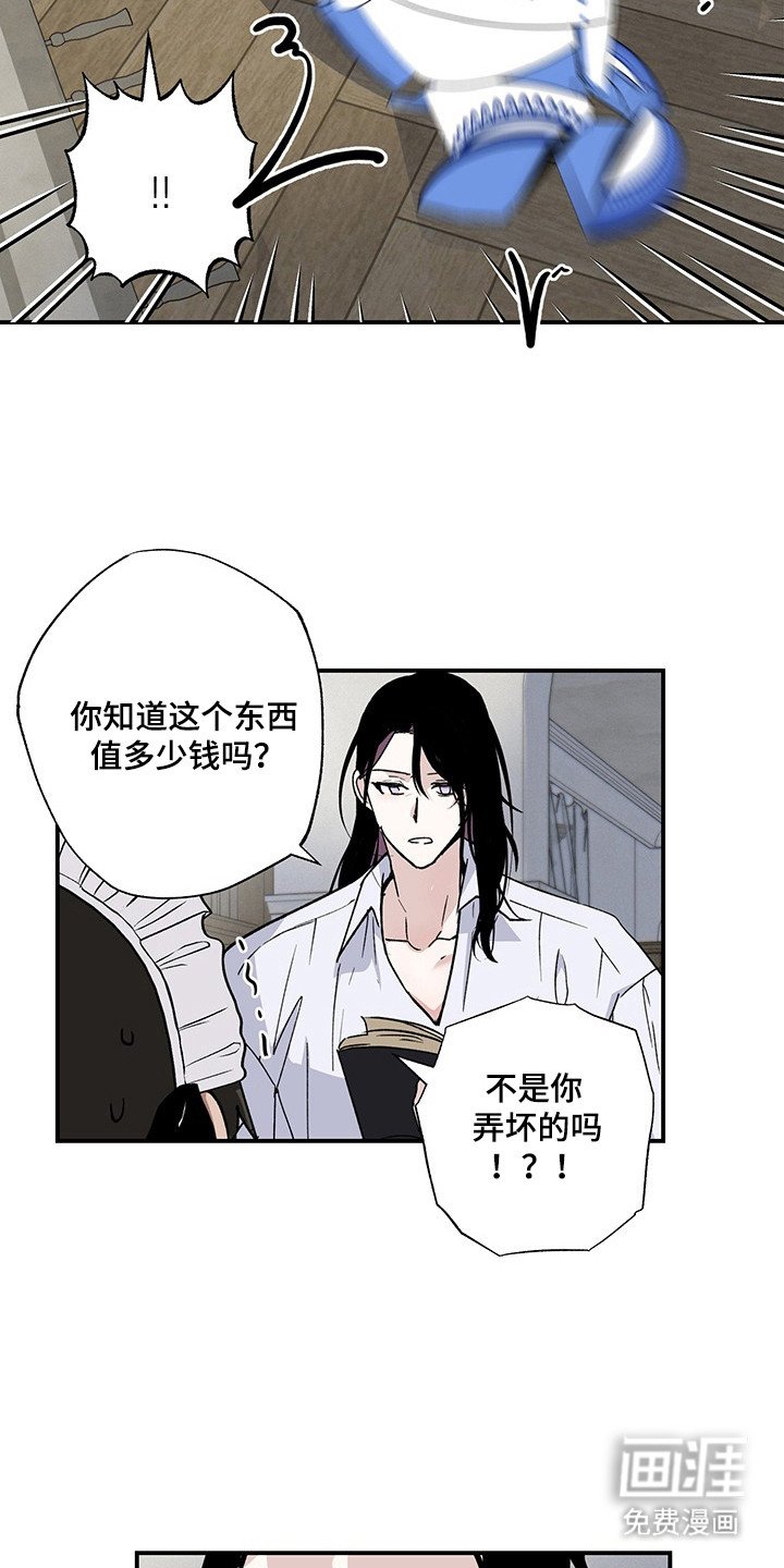 第28章：实验精神