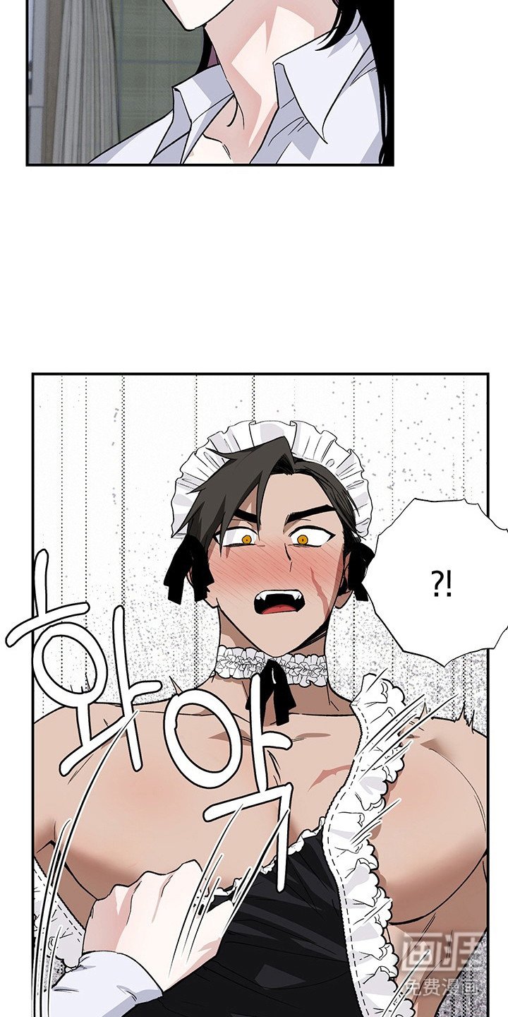 第28章：实验精神