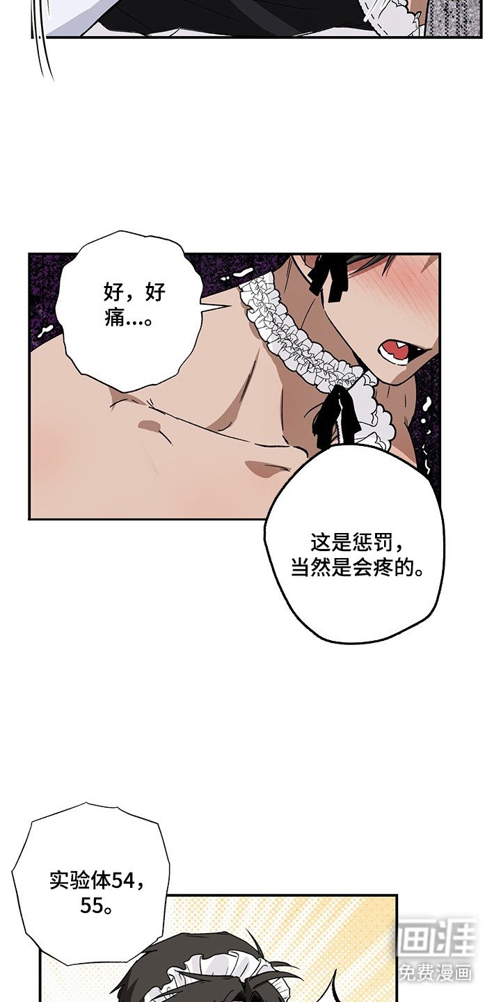 第28章：实验精神