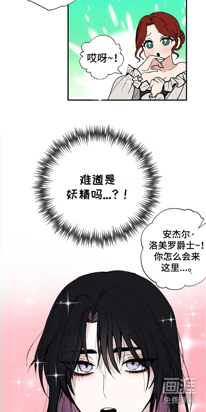 第3章：研究