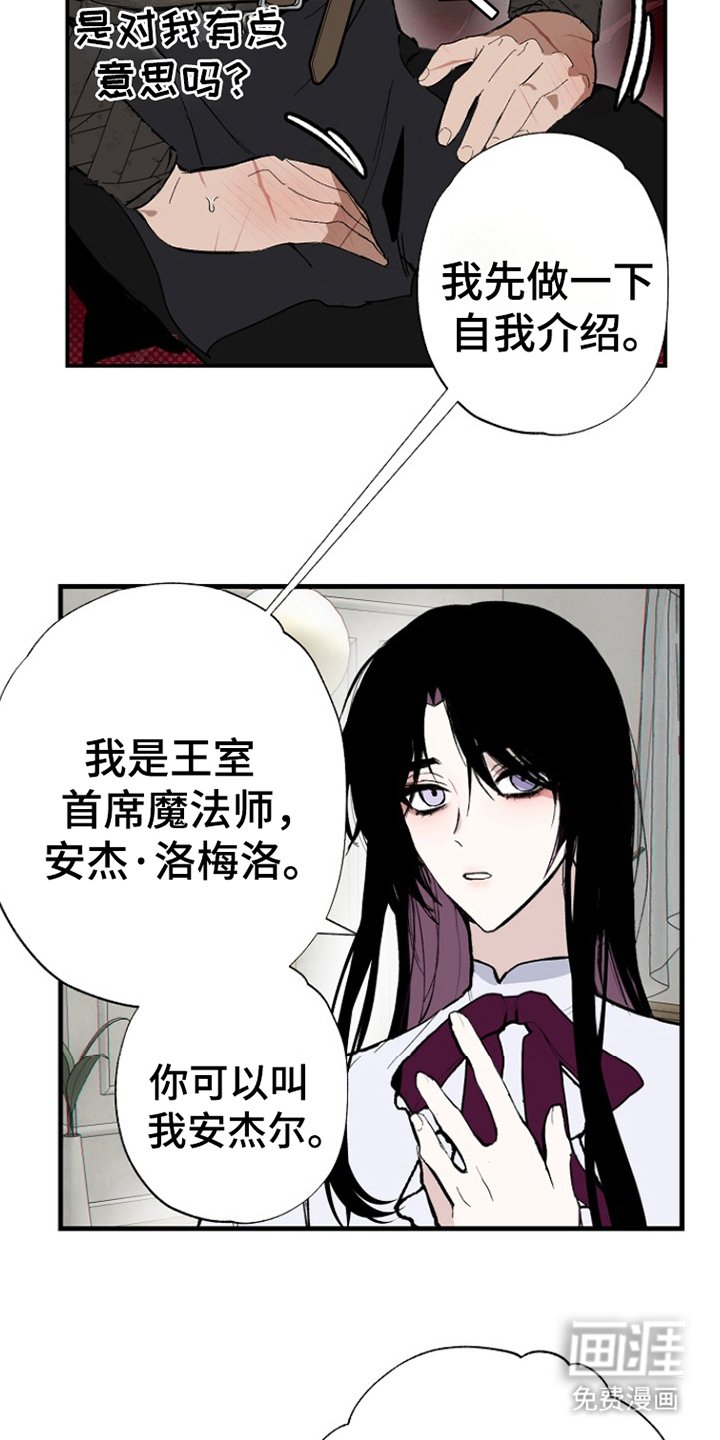 第3章：研究