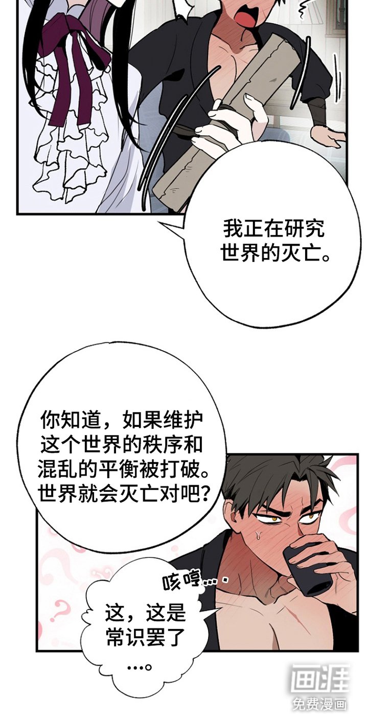 第3章：研究
