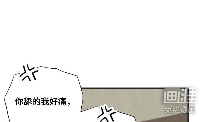 第31章：最后实验