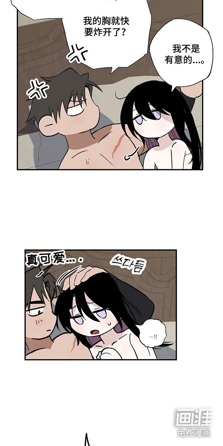 第31章：最后实验