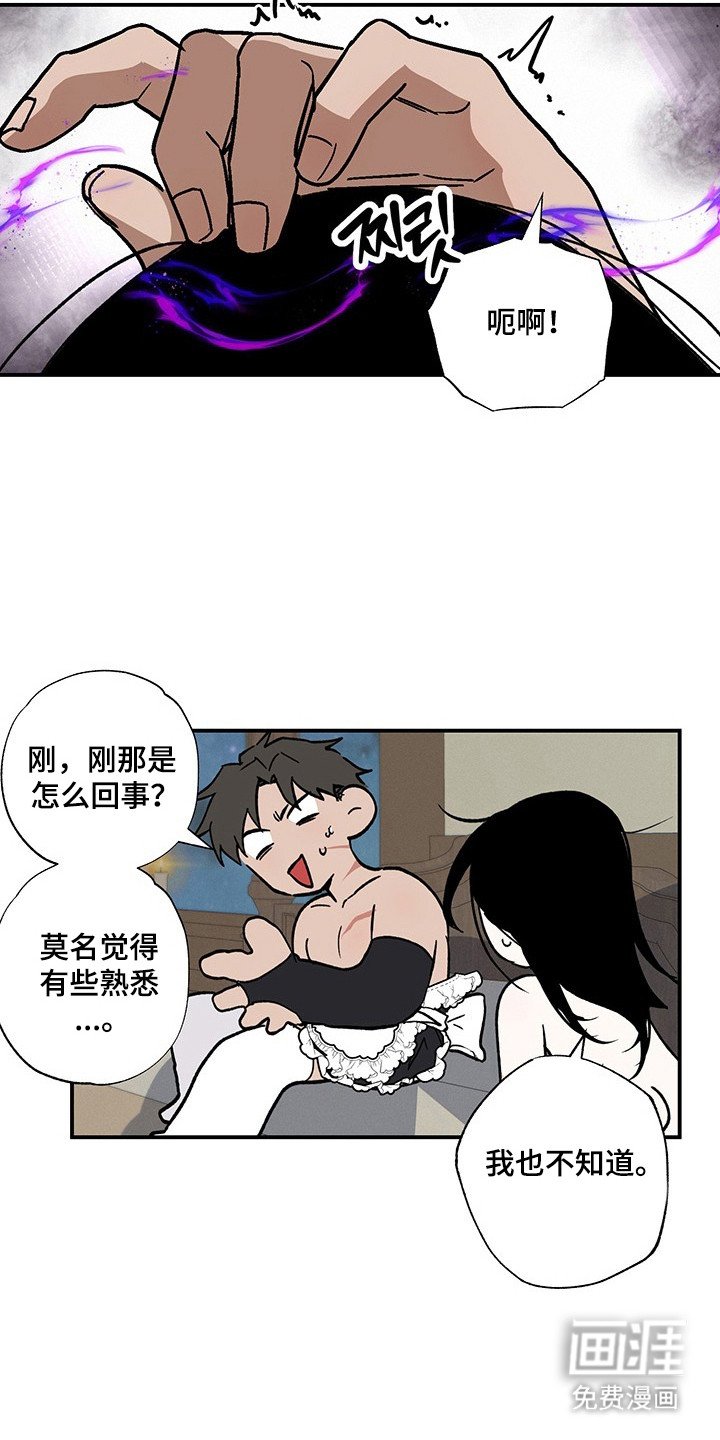 第31章：最后实验