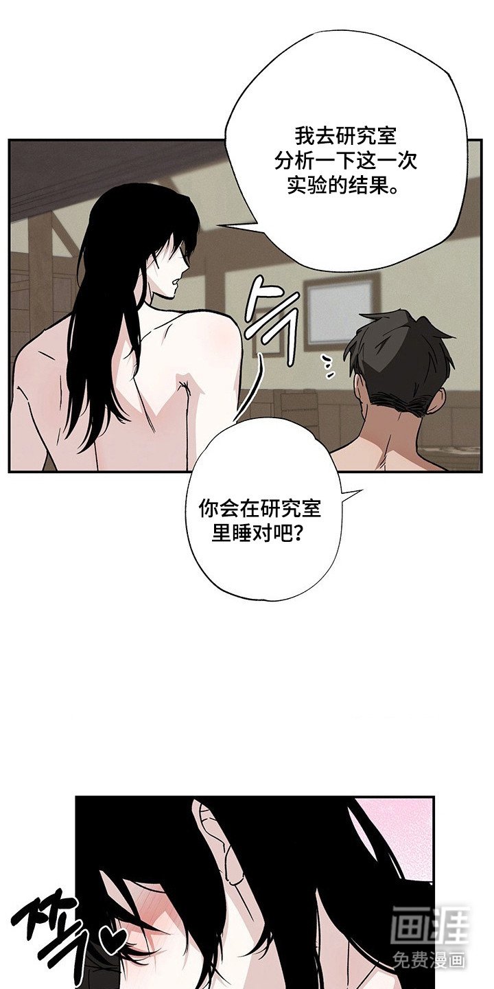 第31章：最后实验