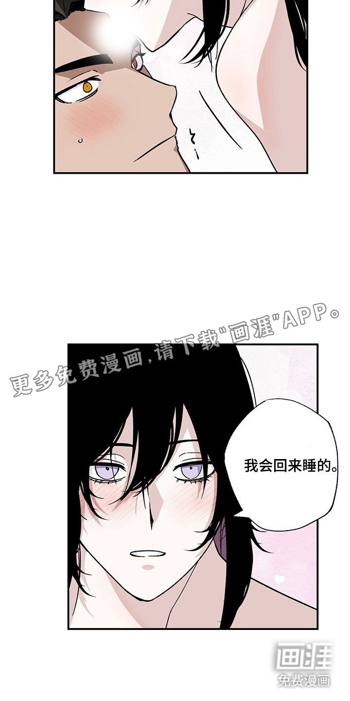 第31章：最后实验