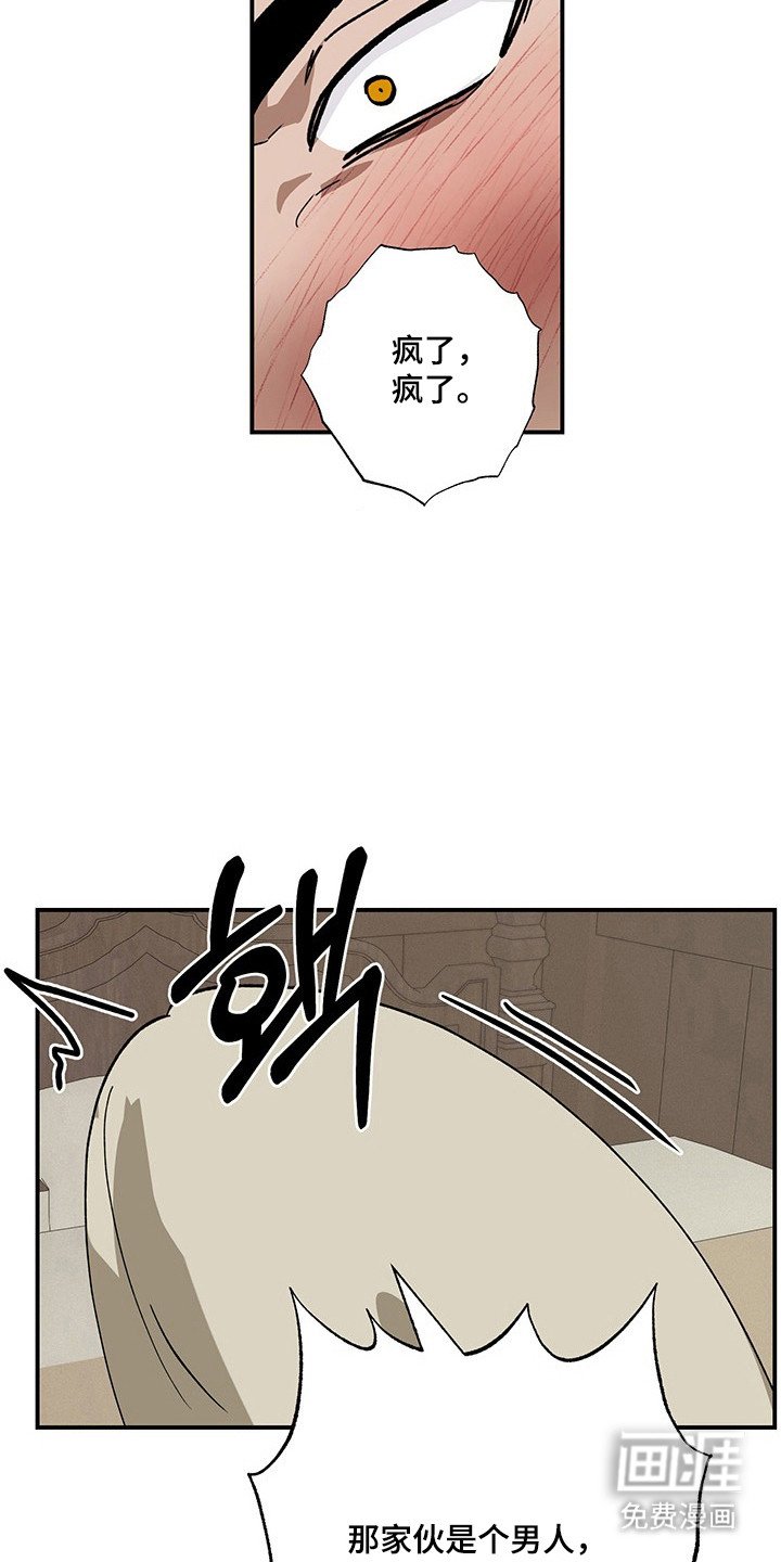 第31章：最后实验