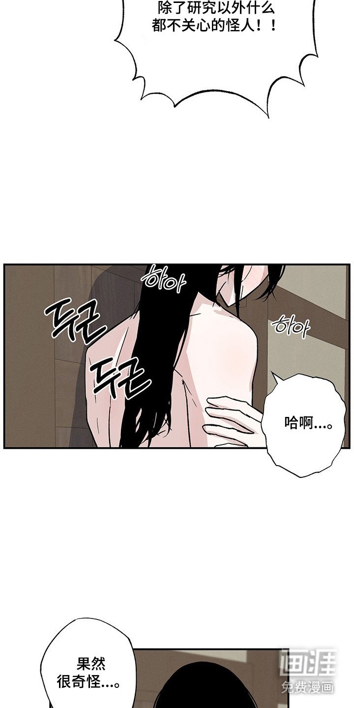 第31章：最后实验