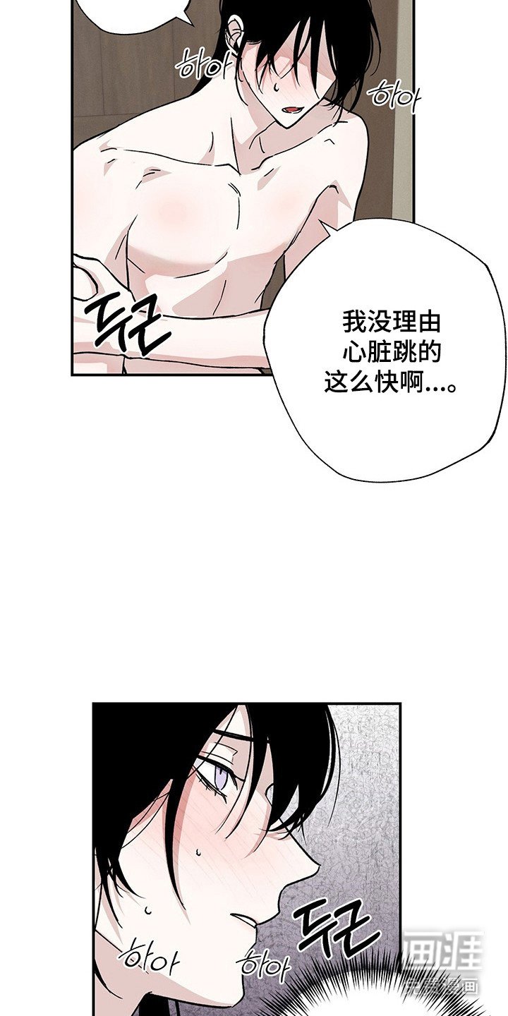 第31章：最后实验