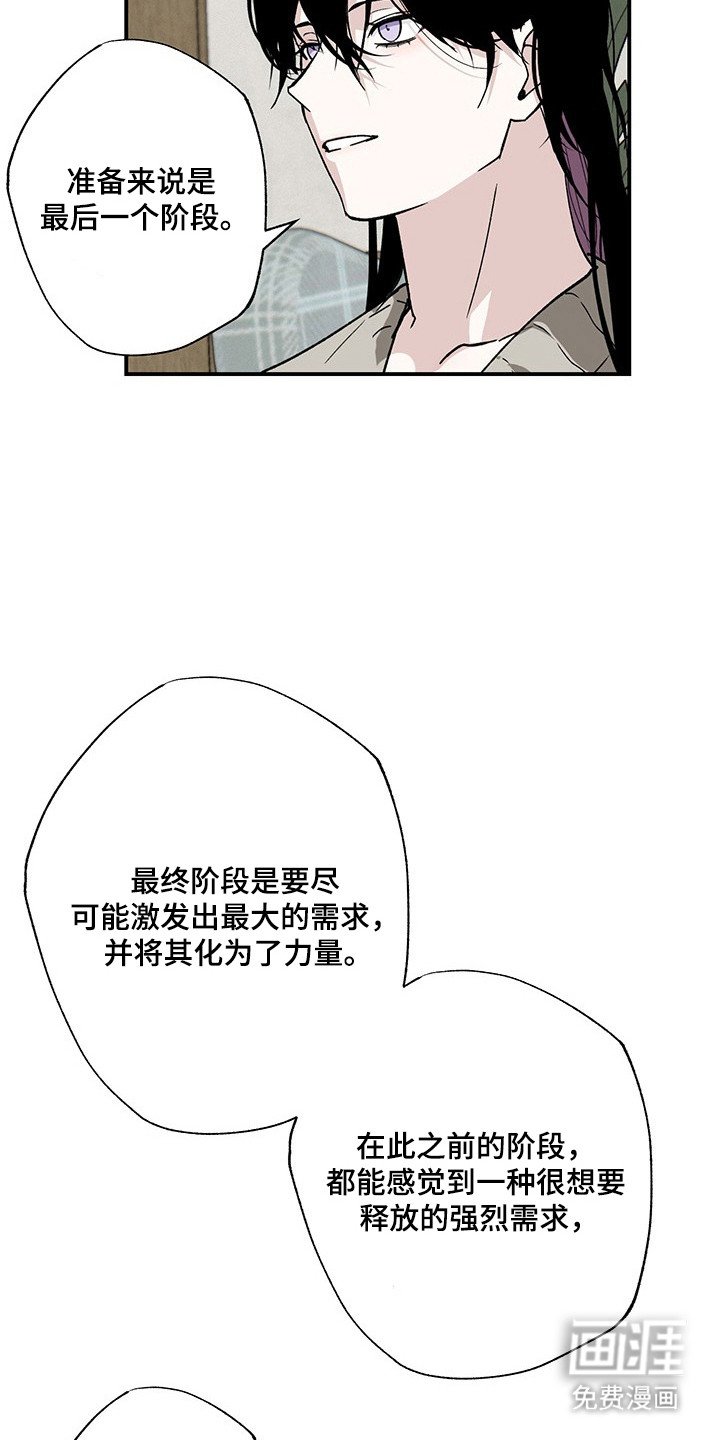第31章：最后实验