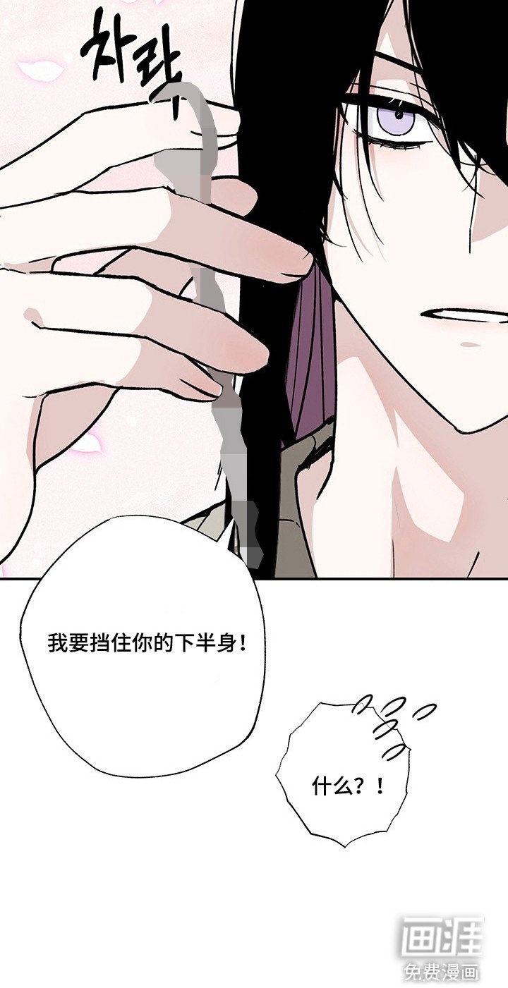 第31章：最后实验