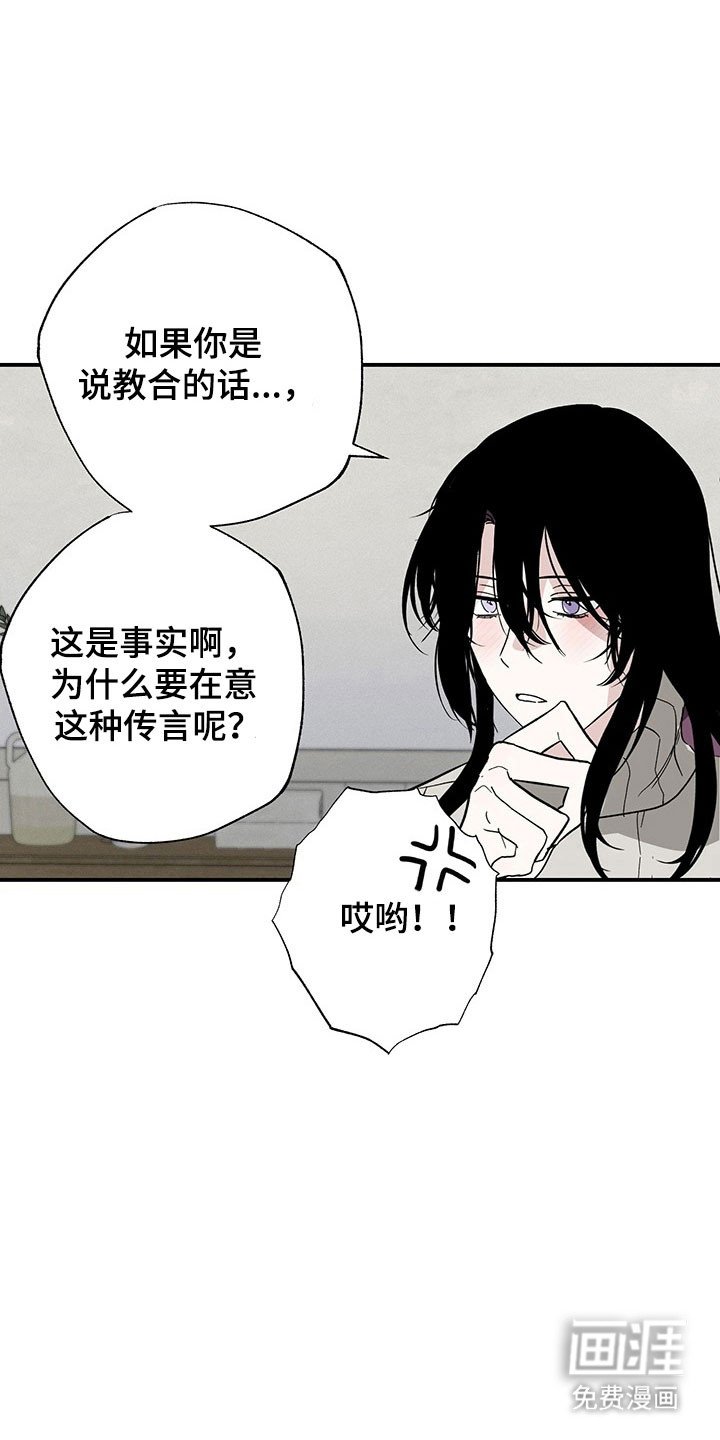 第37章：传言