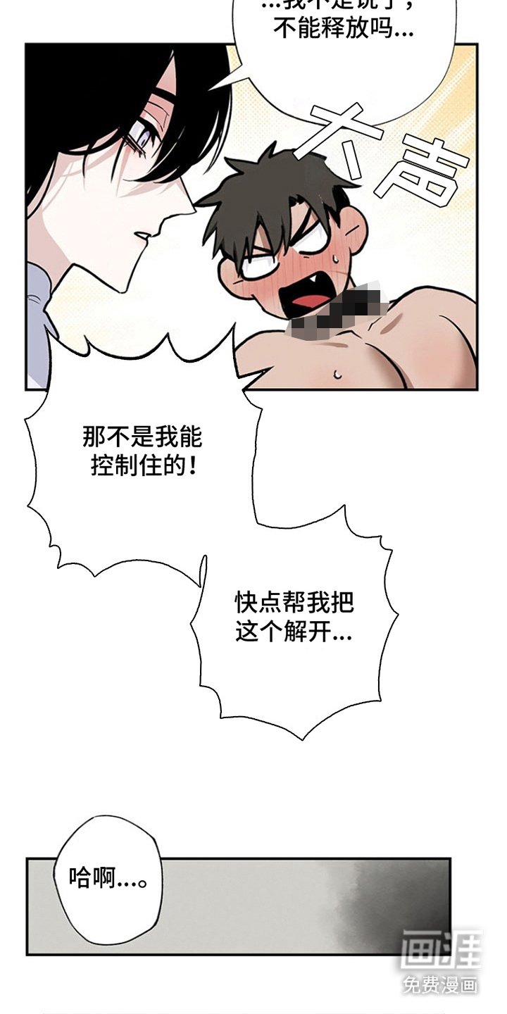 第7章：一天的成果