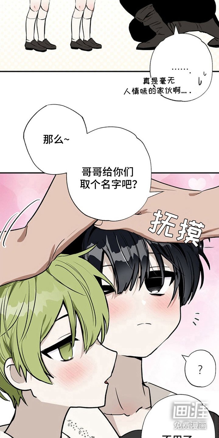 第8章：上浴室