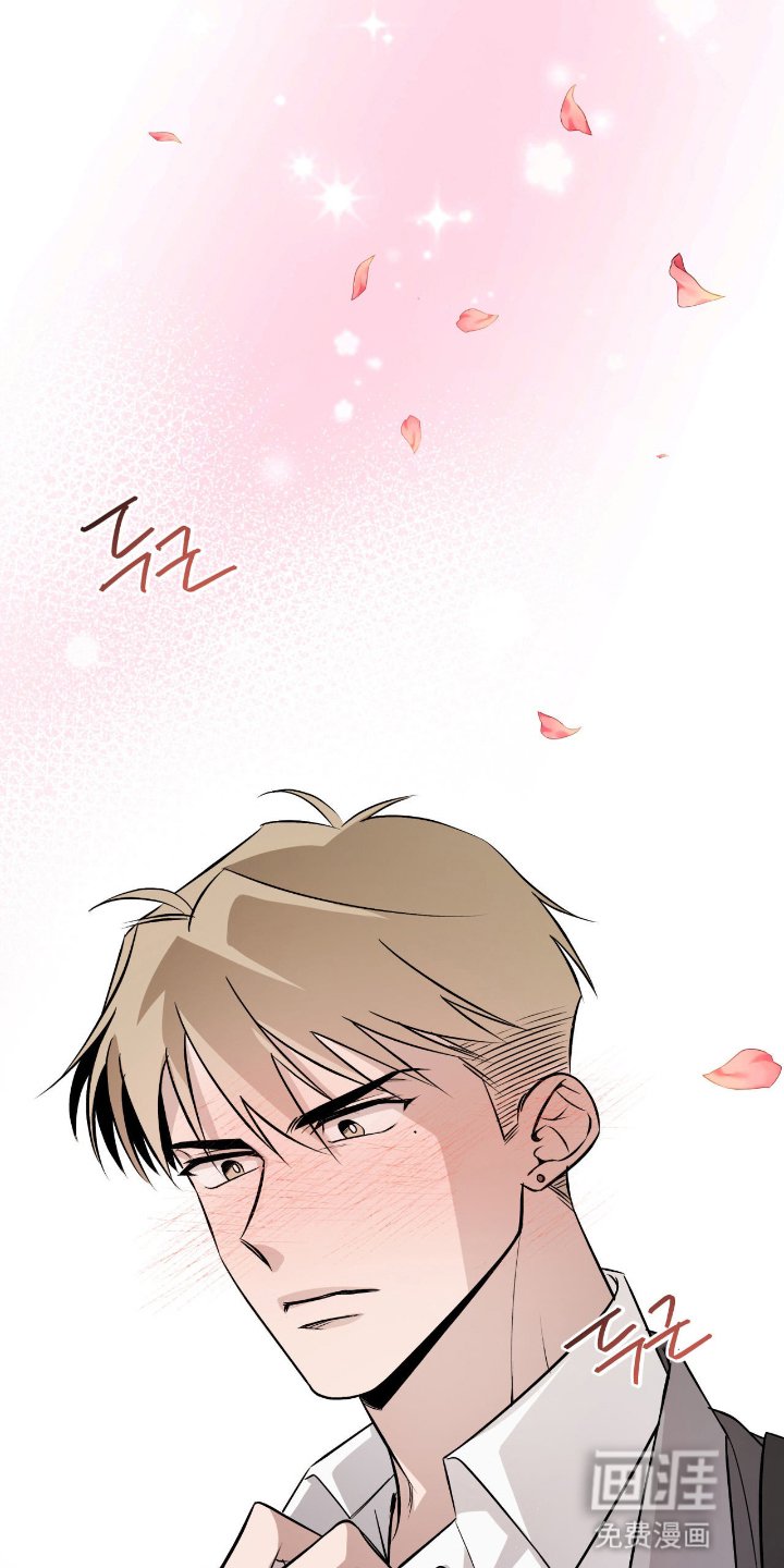 第7章：一见钟情