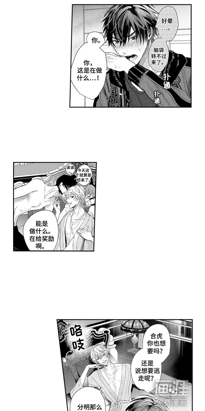 第5章：奖励