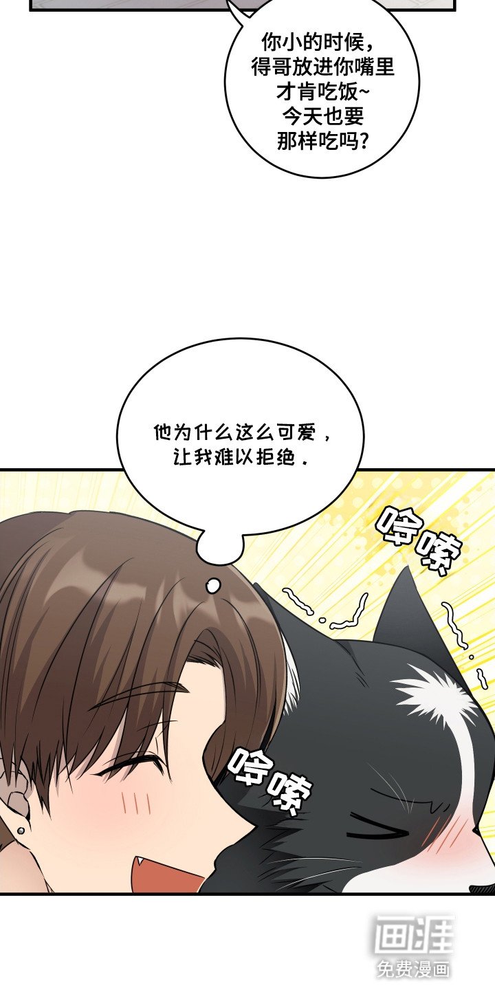 第11章：他们的关系