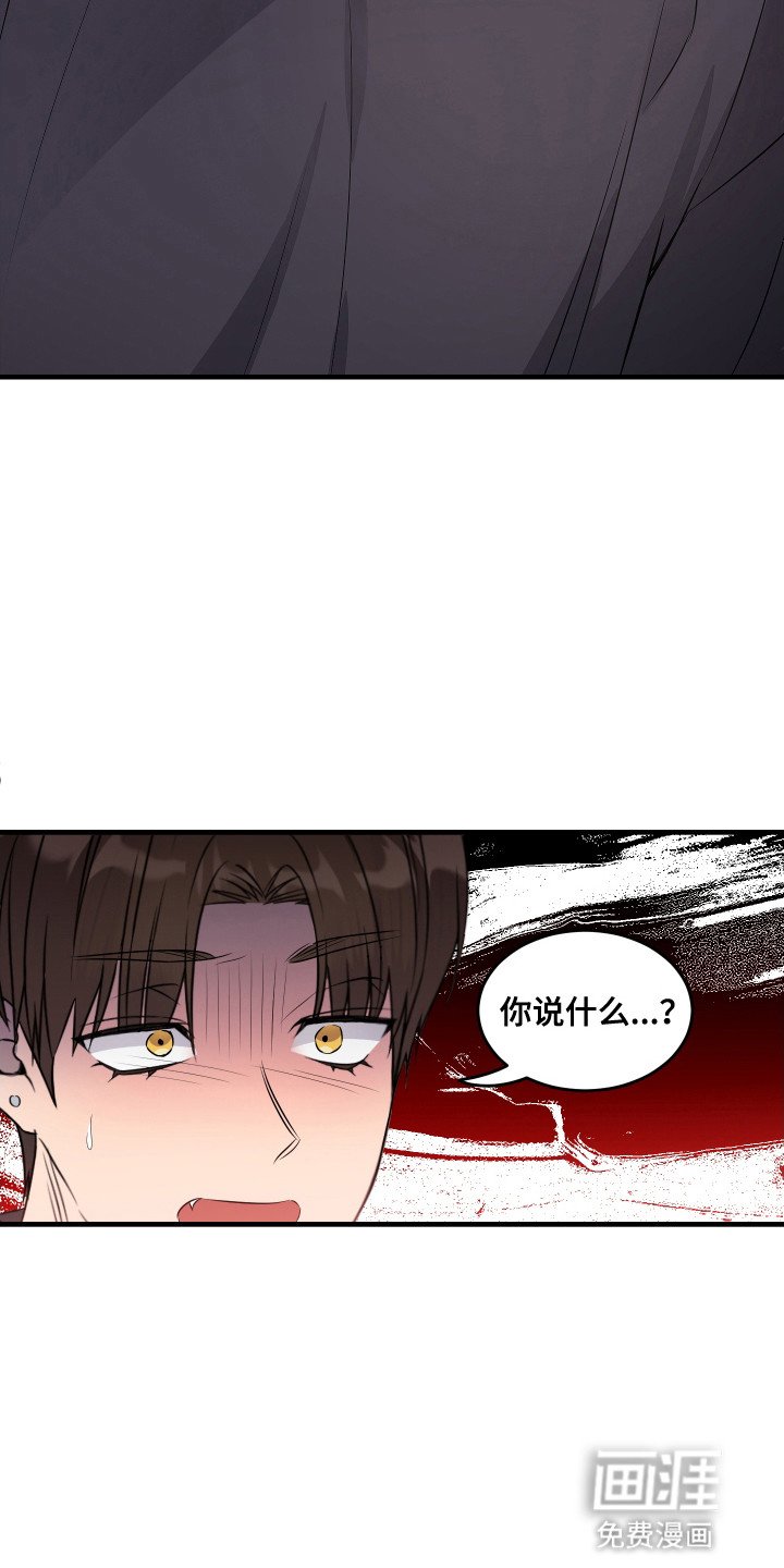 第12章：交往吗