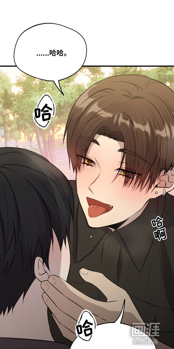 第12章：交往吗