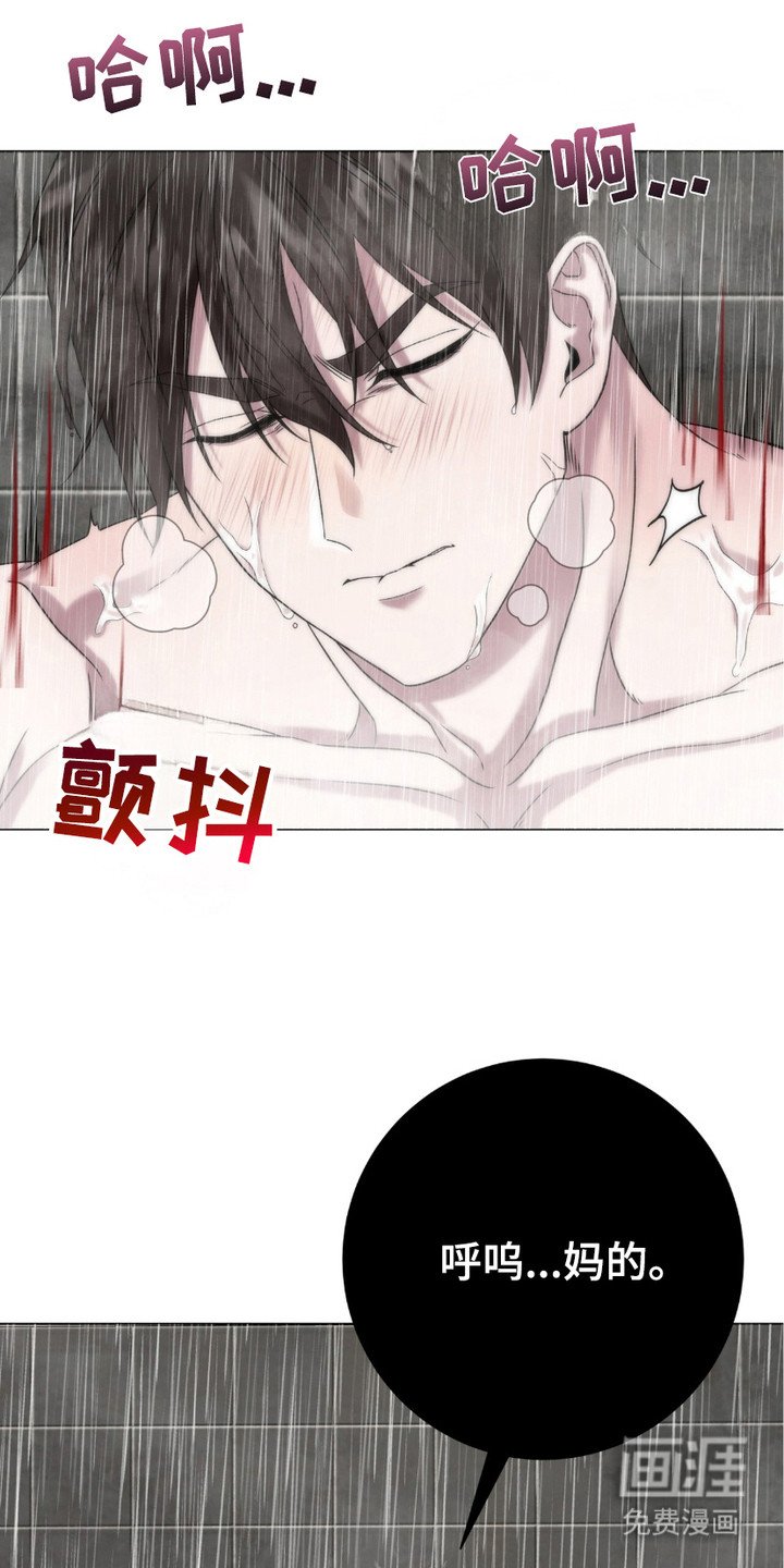 第13章：目的