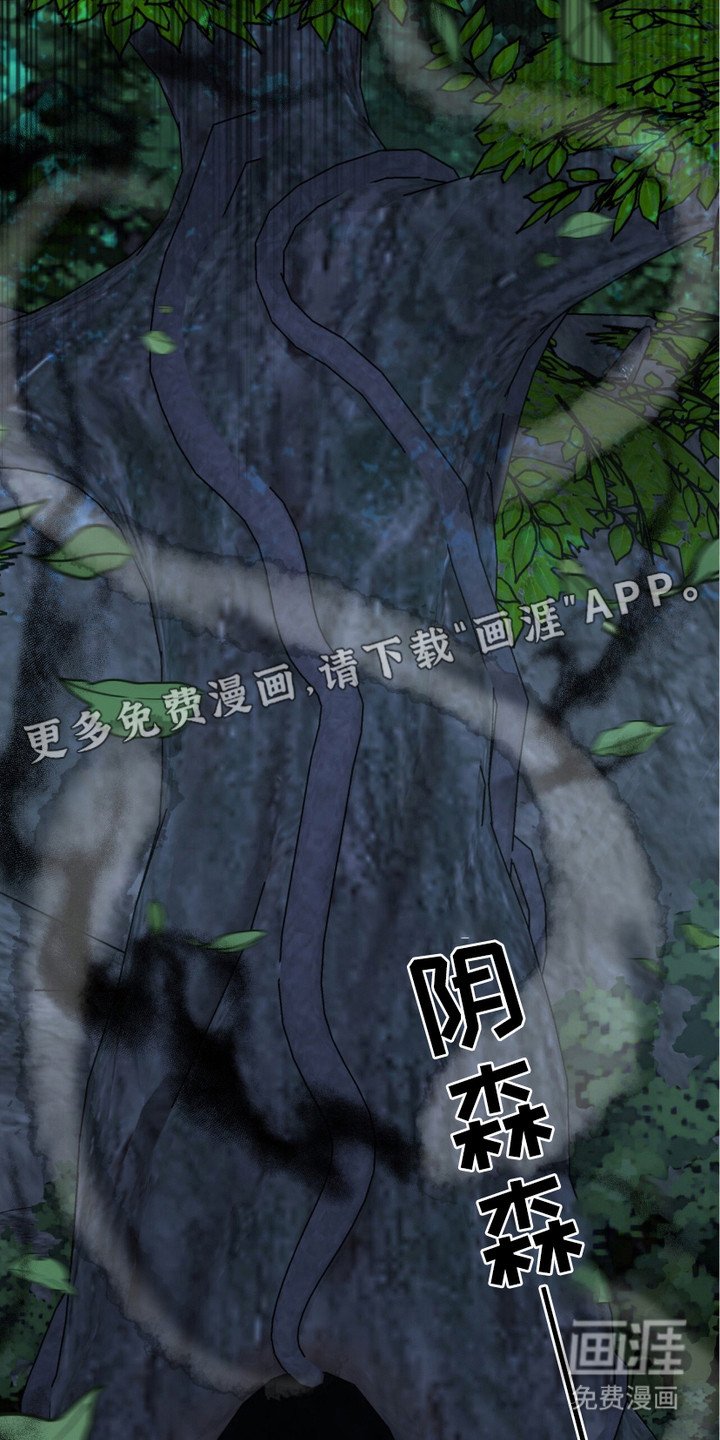 第15章：阴冷气息
