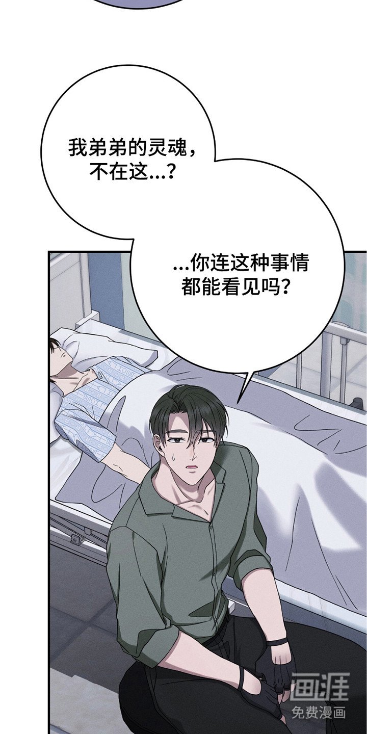 第30章：似真似假