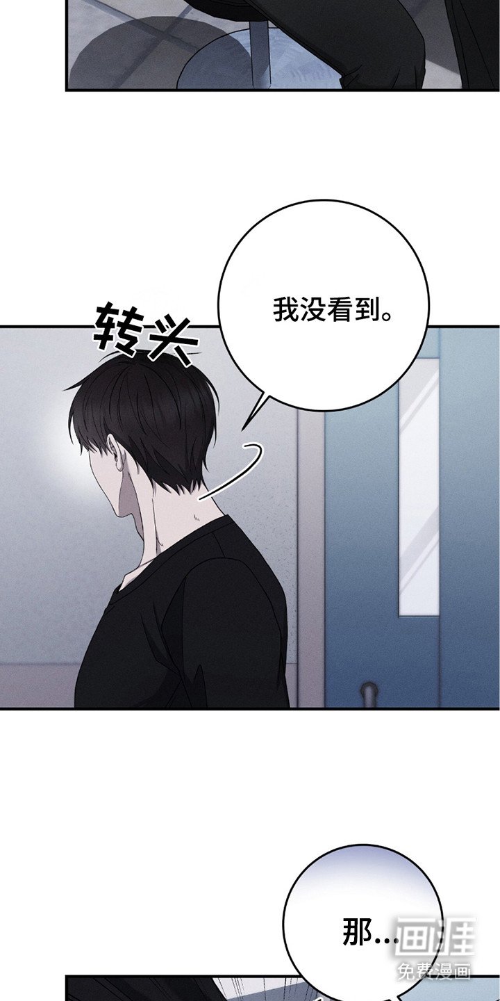 第30章：似真似假