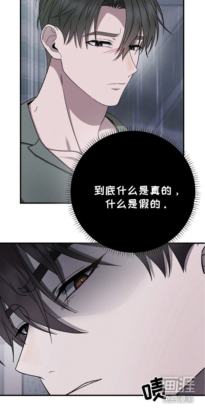 第30章：似真似假