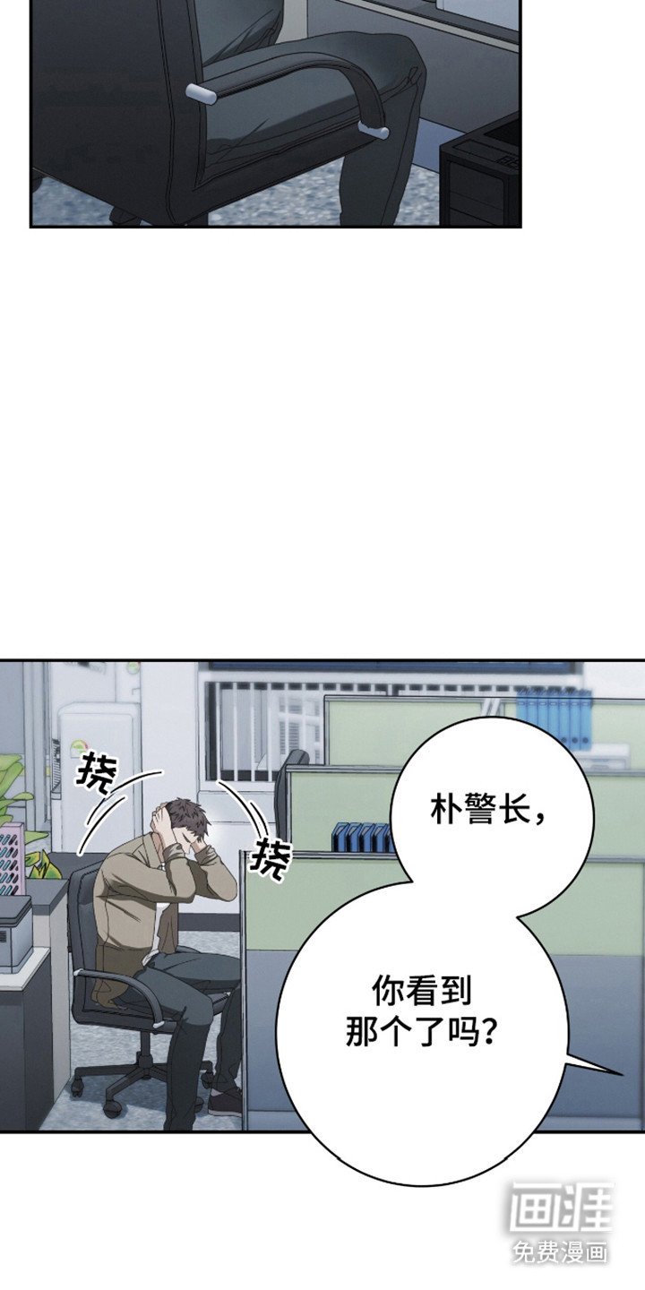 第34章：保护