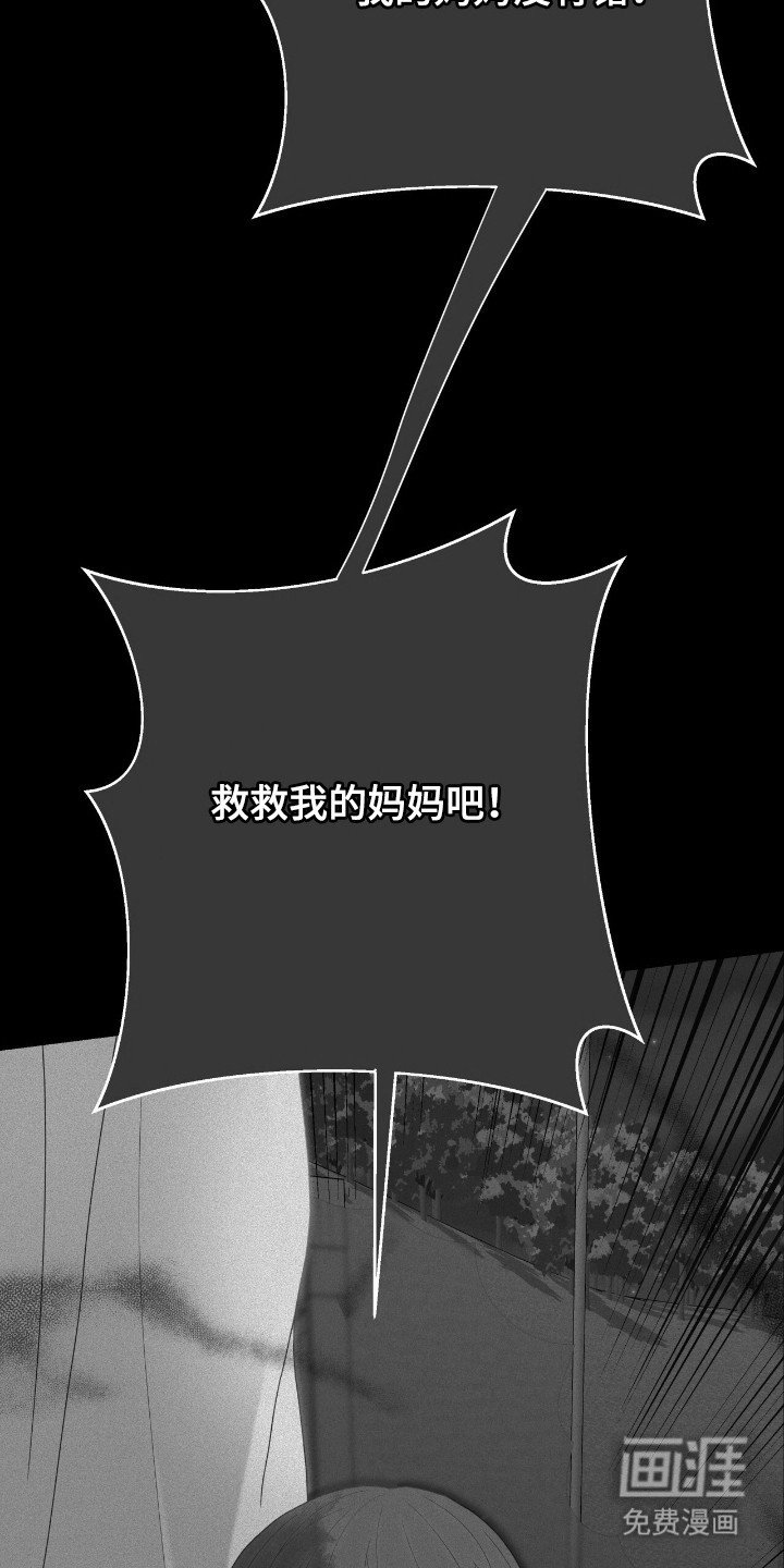 第38章：准备直播