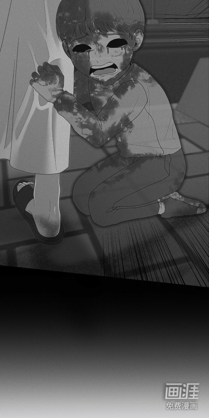 第38章：准备直播