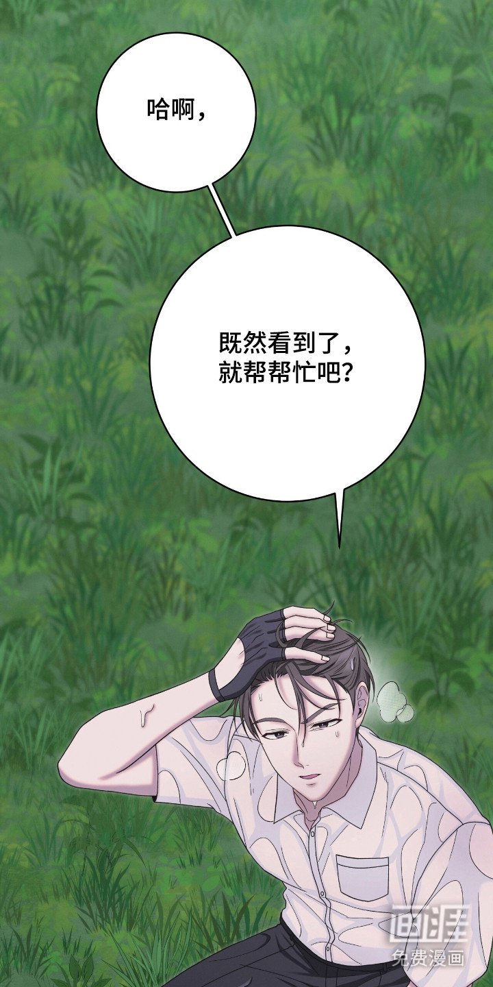 第42章：微妙气氛