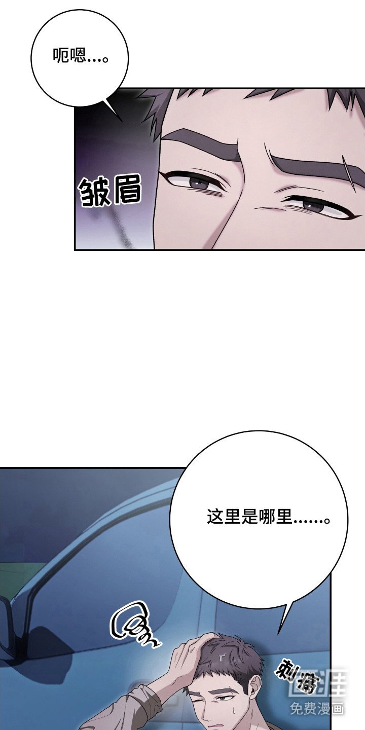 第43章：菊花事件