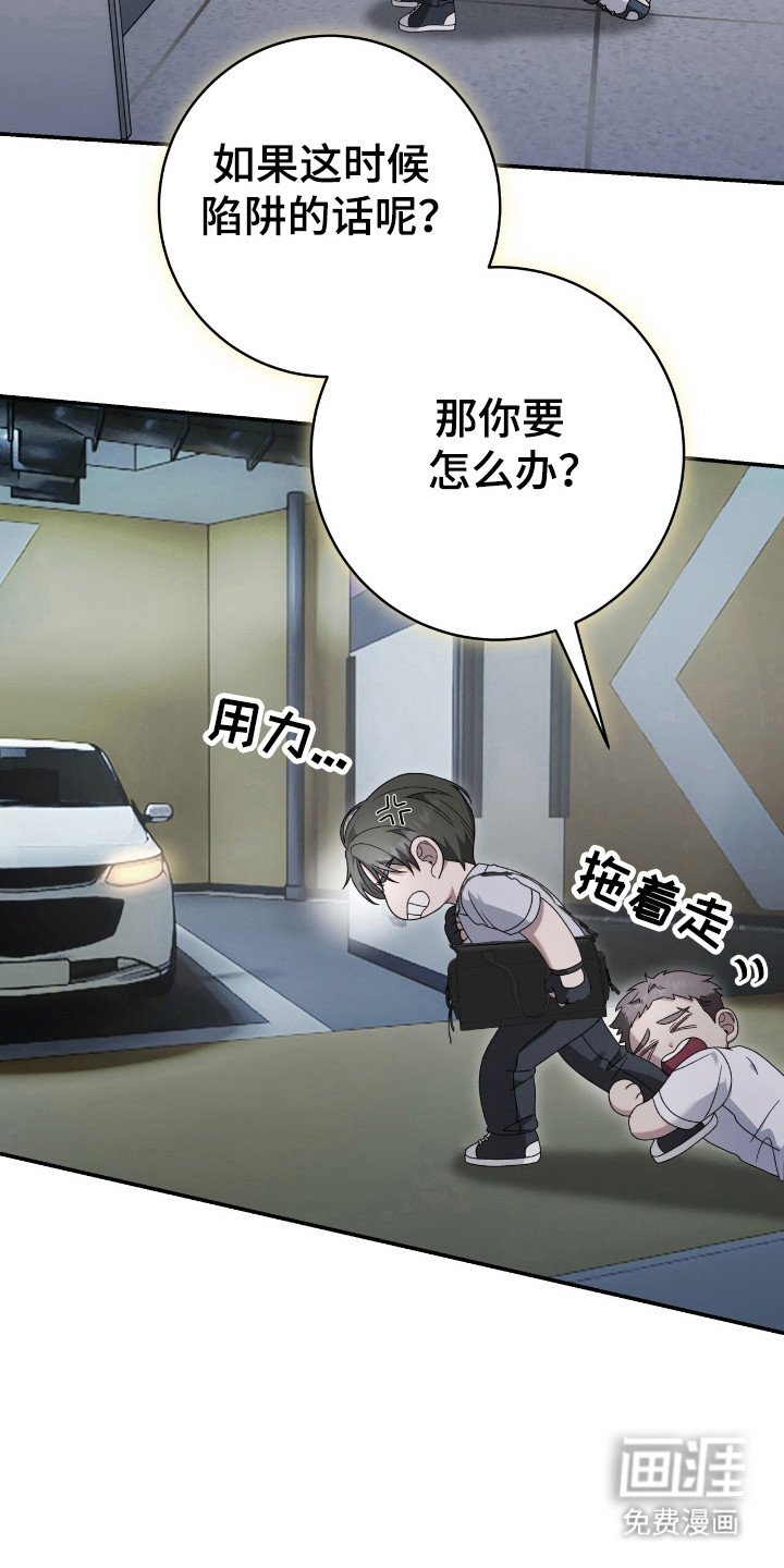 第46章：怕是陷阱