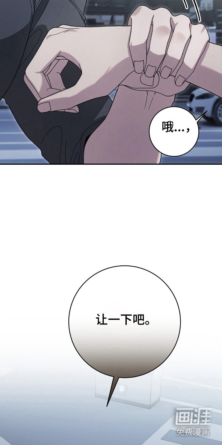 第46章：怕是陷阱