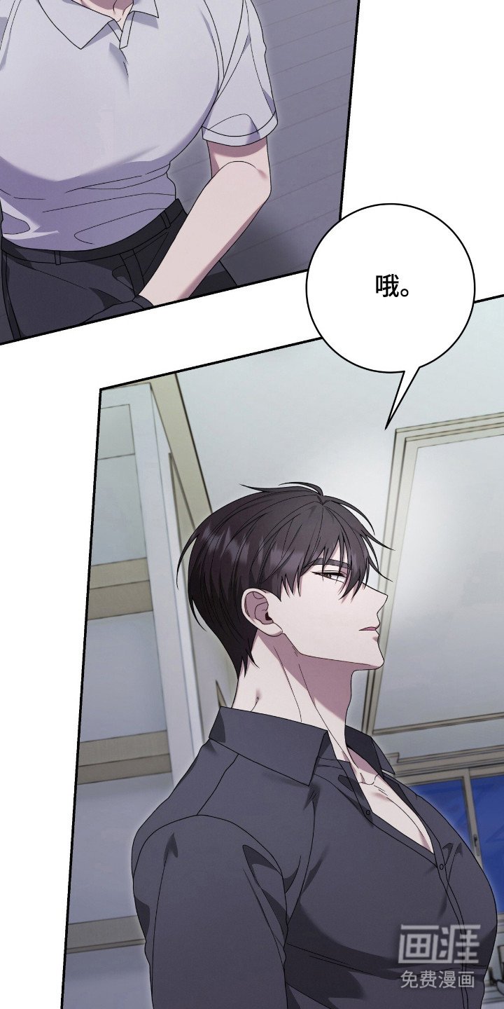 第49章：畸形诅咒