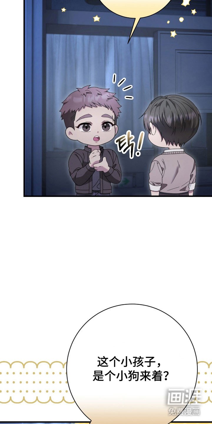第71章：郑重拜托