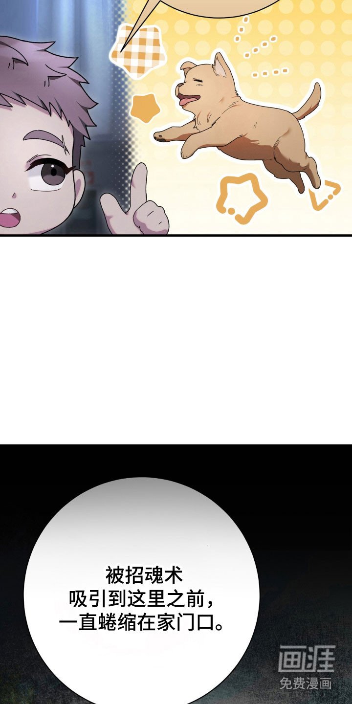 第71章：郑重拜托