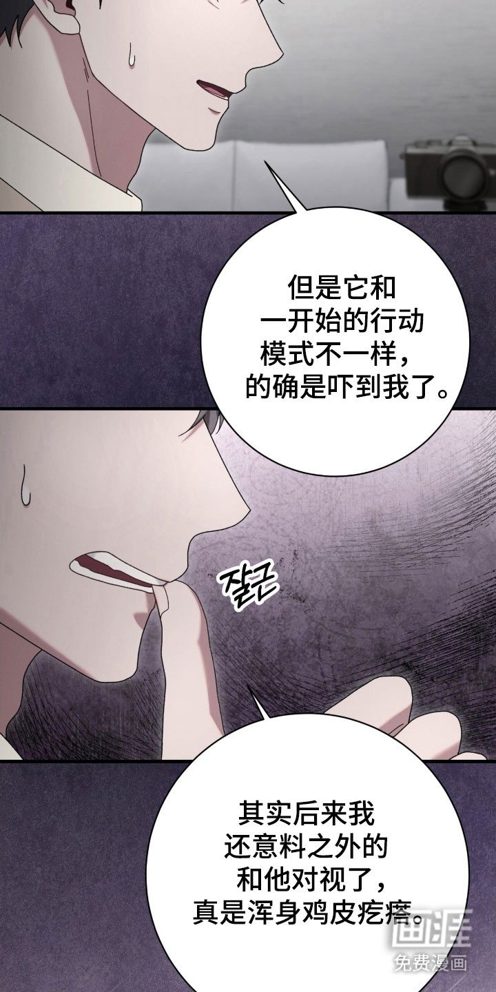 第76章：进入正题