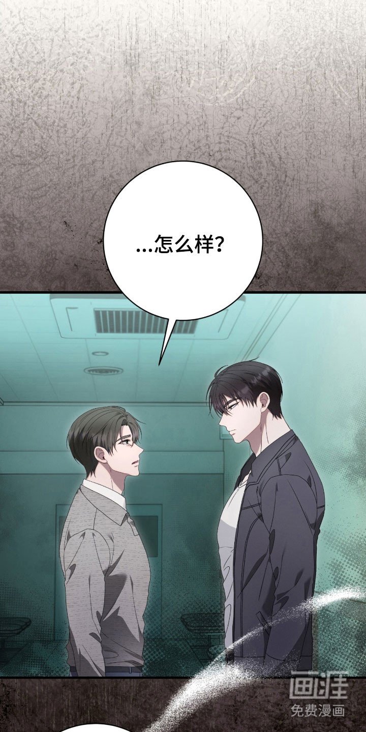 第80章：确认内容