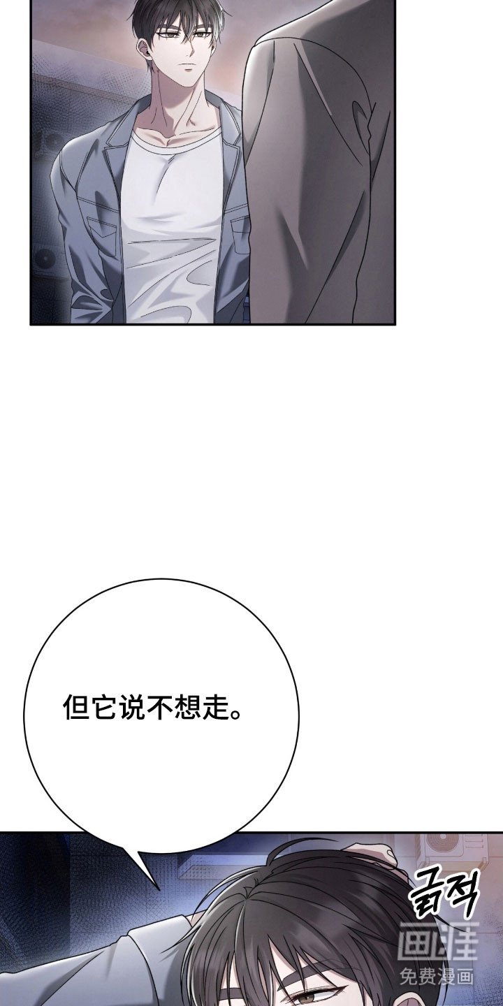 第85章：缩小范围