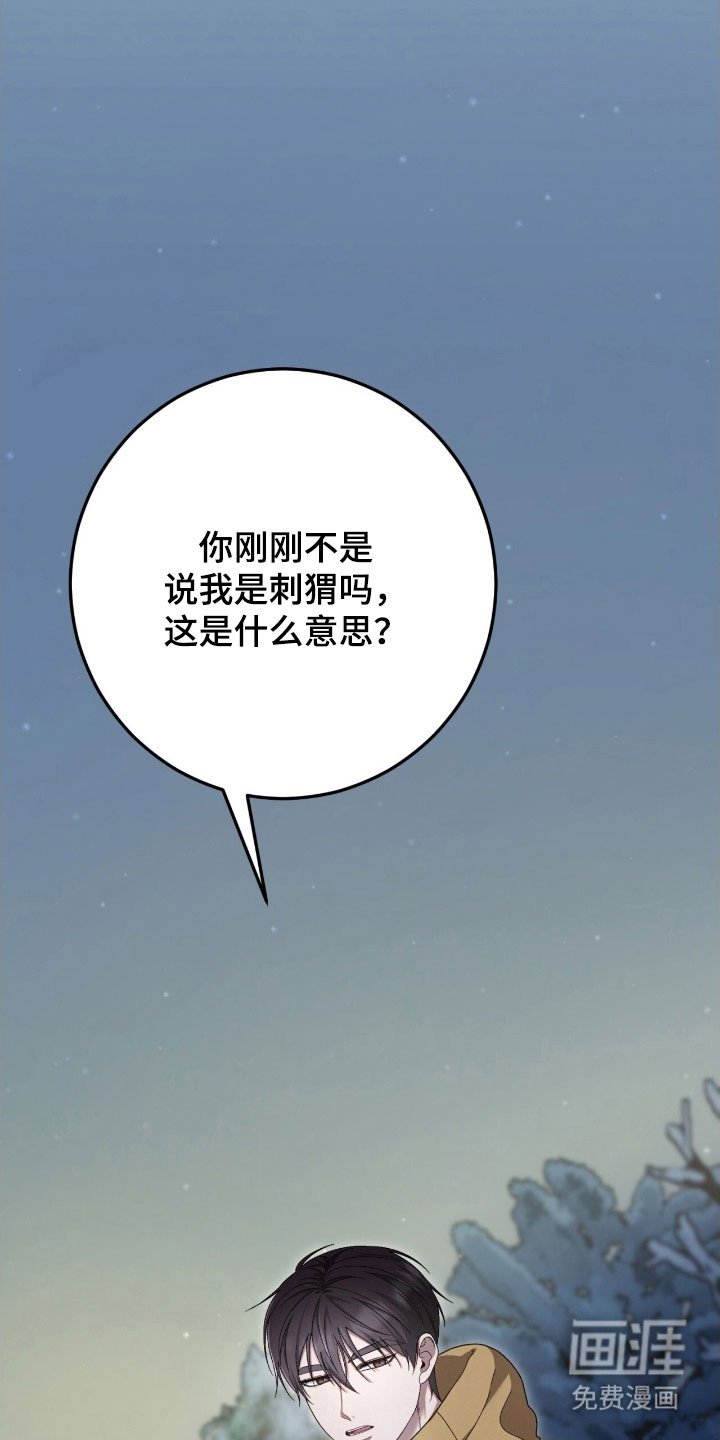 第91章：带刺刺猬