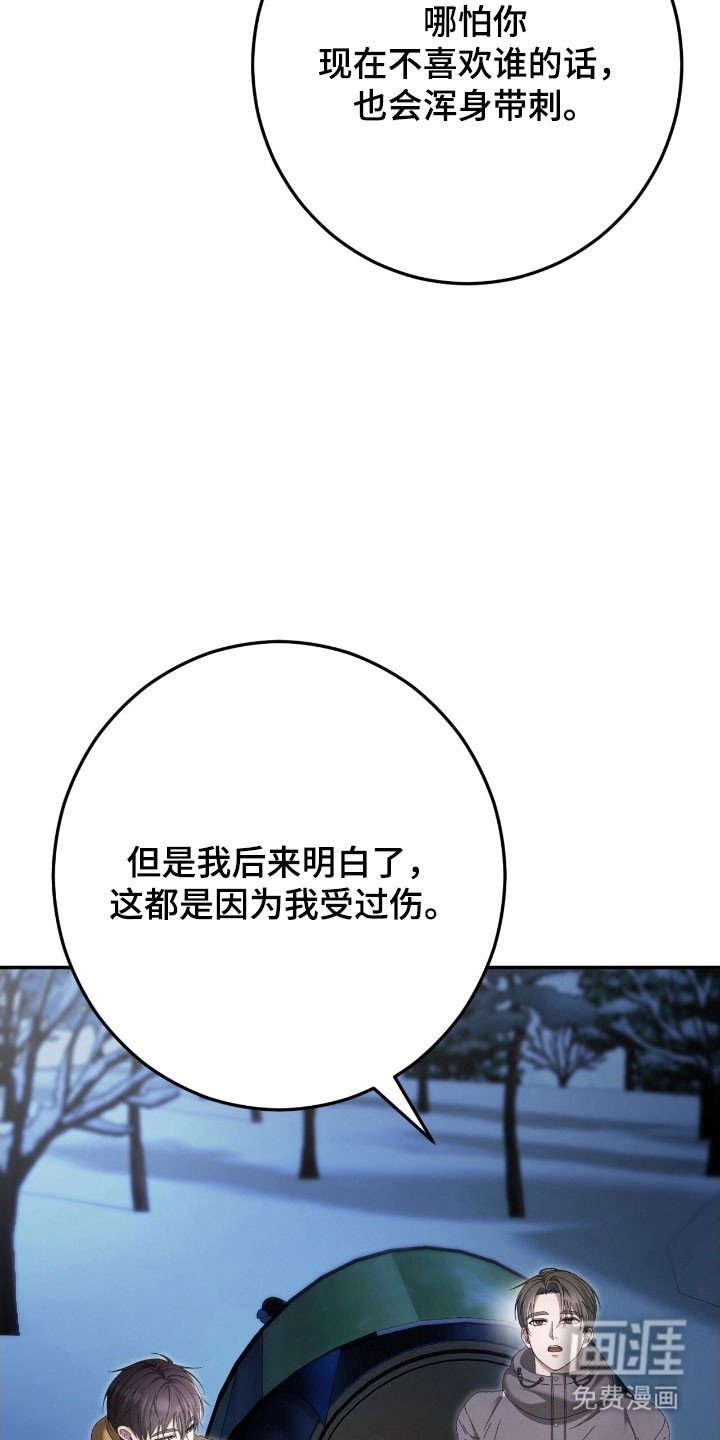 第91章：带刺刺猬