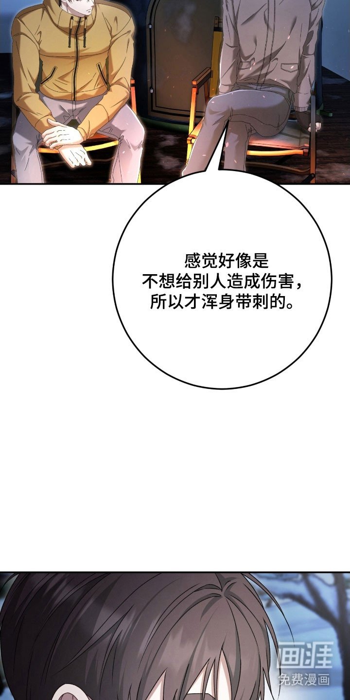 第91章：带刺刺猬