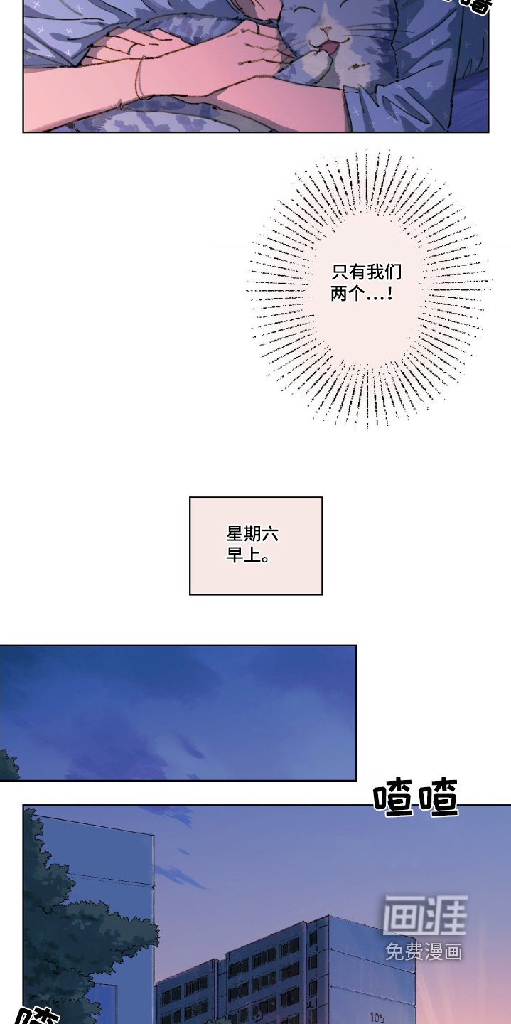 第11章：真是期待
