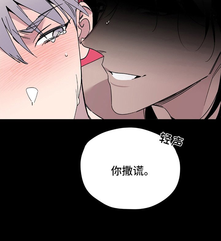 第1章：偶像塌房